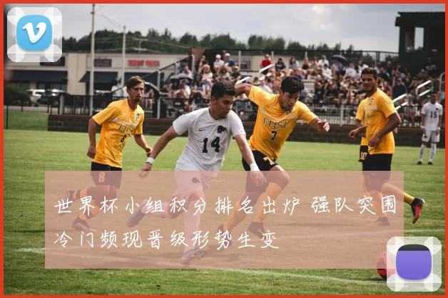 世界杯小组积分排名出炉 强队突围冷门频现晋级形势生变