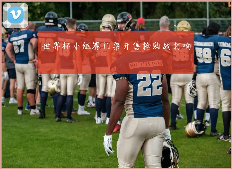 世界杯小组赛门票开售抢购战打响