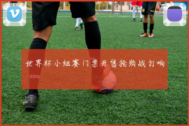 世界杯小组赛门票开售抢购战打响