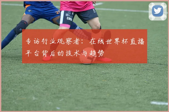 专访行业观察者：在线世界杯直播平台背后的技术与趋势