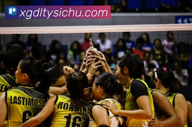 完美(中国体育)官方网站服务体系